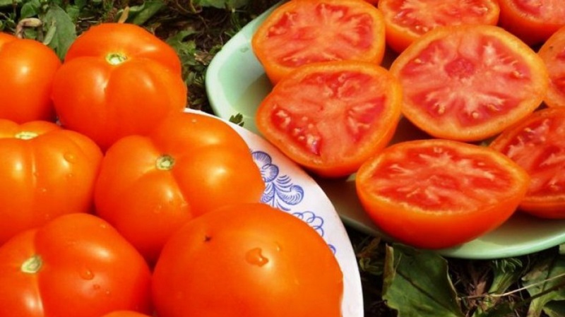 Die Sorte, die Ihr Favorit wird, ist die Grapefruit-Tomate: groß, unprätentiös in der Pflege und erstaunlich lecker