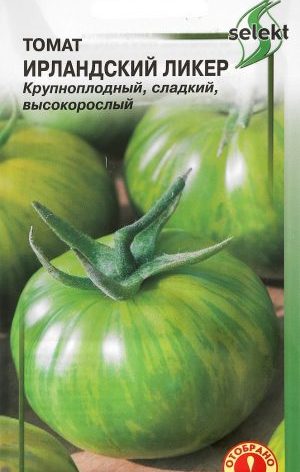 Сорта егзотичног укуса и невероватног изгледа - ирска алкохолна рајчица: узгајамо и изненадимо своје комшије