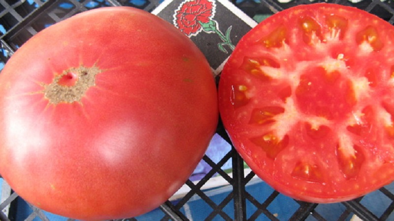 Wir bauen schrittweise das Geschenk eines Tomatenzaren an, beginnend mit Setzlingen und endend mit der Sammlung einer reichlichen Ernte