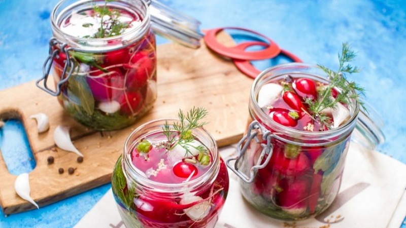 Radieschen für den Winter ernten: einfache und köstliche Rezepte für gesunde Snacks