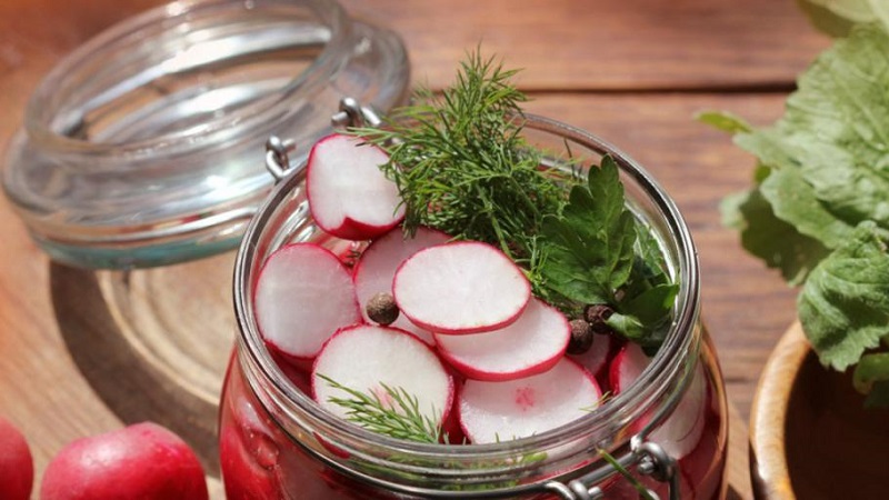 Radieschen für den Winter ernten: einfache und köstliche Rezepte für gesunde Snacks