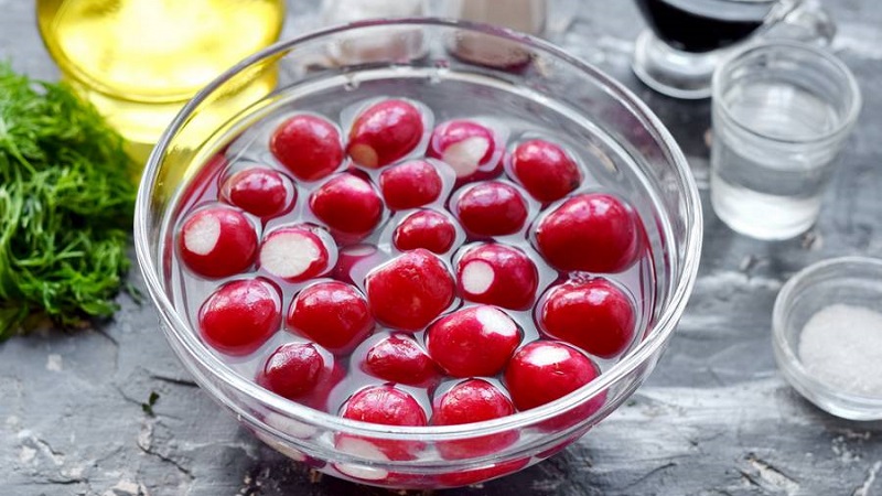 Radieschen für den Winter ernten: einfache und köstliche Rezepte für gesunde Snacks