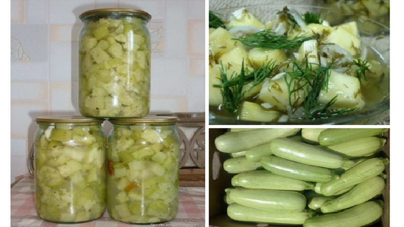 Wie man Dosen-Zucchini für den Winter kocht: die köstlichsten und ungewöhnlichsten Rezepte zum Nähen