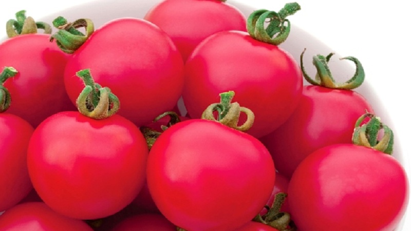 Was Sie an Pink Paradise Hybrid Tomato lieben werden