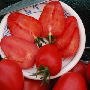 Tomatensorte Erdbeerbaum - Resistenz gegen sibirische Krankheiten und hoher Ertrag