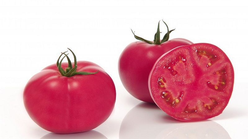 Eine von japanischen Züchtern produzierte Hybride - Pink Impression Tomate und die Nuancen ihres Anbaus