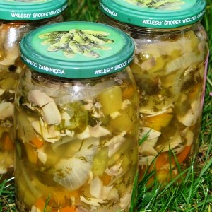 So machen Sie die köstlichsten Zucchini-Rohlinge für den Winter ohne Sterilisation: Rezepte mit Fotos