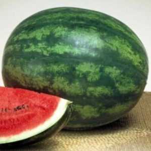 Late Watermelon Chill: Was Bauern lieben und wie man es richtig anbaut