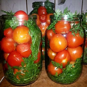 Wie man eingelegte Tomaten in Gläsern kocht Wie man kalte Fässer verwendet: Rezepte und Tipps