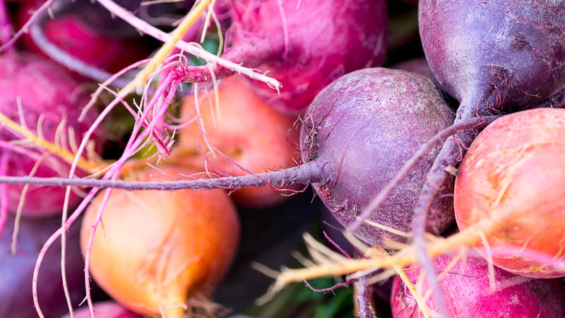 Wann man Rüben zur Lagerung aus dem Garten nimmt: Wir ernten pünktlich