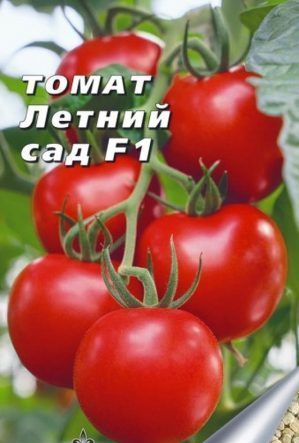 Überprüfung eines frühen Hybrid-Tomaten-Sommergartens f1: Bewertungen der Sommerbewohner und Anweisungen für den Anbau eines Hybriden