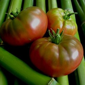 Tomate Mikado, die von Sommerbewohnern mit einer reichen Palette an Unterarten und starker Immunität geliebt wird - wir wachsen ohne Probleme