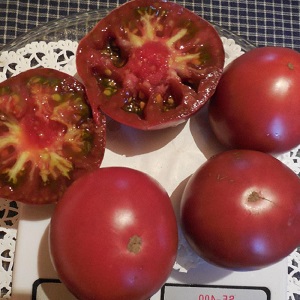 Tomate Mikado, die von Sommerbewohnern mit einer reichen Palette an Unterarten und starker Immunität geliebt wird - wir wachsen ohne Probleme