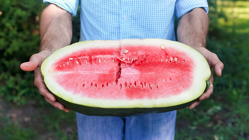 Ist es möglich, Wassermelone mit Cholezystitis und Pankreatitis zu essen