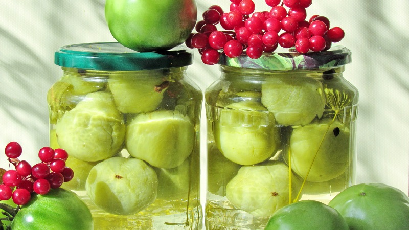 Einfache und leckere Rezepte für eingelegte grüne Tomaten: Wie man sie richtig kocht und für den Winter rollt