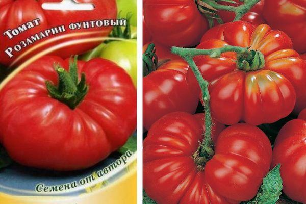 Wie man wächst und wo man Tomaten Pfund Rosamarin verwendet