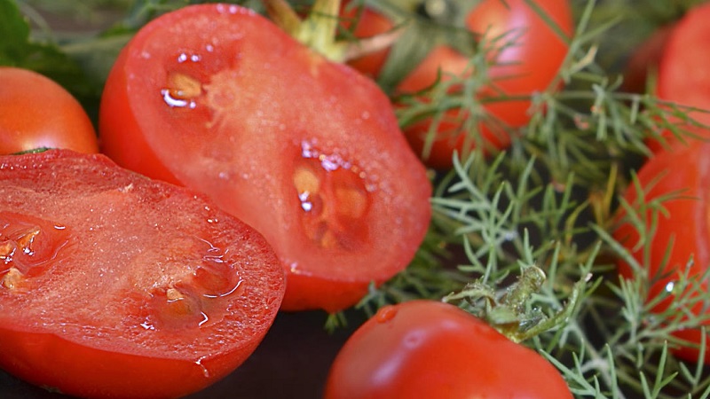 Eine unprätentiöse Sorte, die nur minimale Pflege erfordert - die japanische Zwerg-Tomate