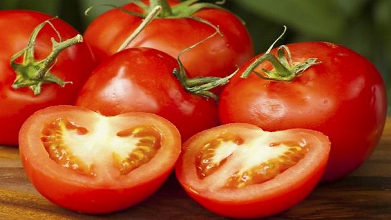 Eine frühe reiche Ernte zur Freude jedes Sommerbewohners - Tomate Polbig