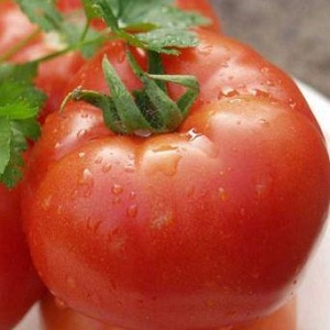 Eine frühe reiche Ernte zur Freude jedes Sommerbewohners - Tomate Polbig