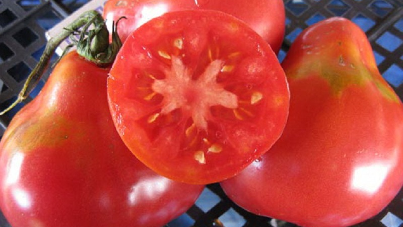 Besonderheiten der Früchte der Tomatensorte Pear Pink