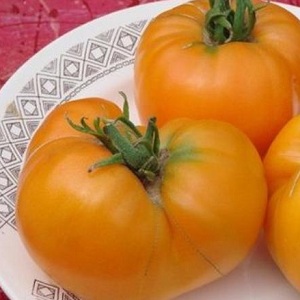 Warum Bauern Tomaten Orangen Elefanten lieben