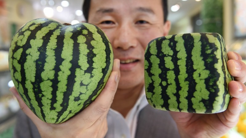 Gibt es blaue Wassermelonen oder ist es ein Internet-Mythos?