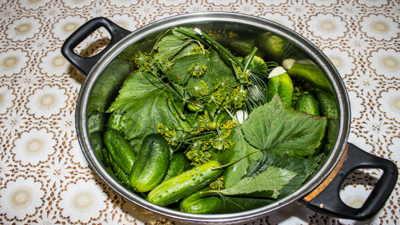 6 der leckersten Gurkenrezepte in einem Topf