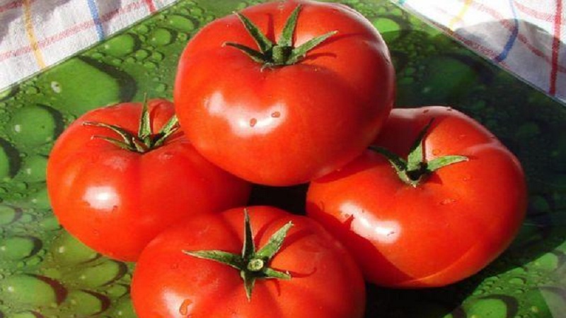 Eine großfruchtige Sorte mit einem angenehmen Geschmack - Akulina-Tomate und eine Schritt-für-Schritt-Anleitung zum Anbau