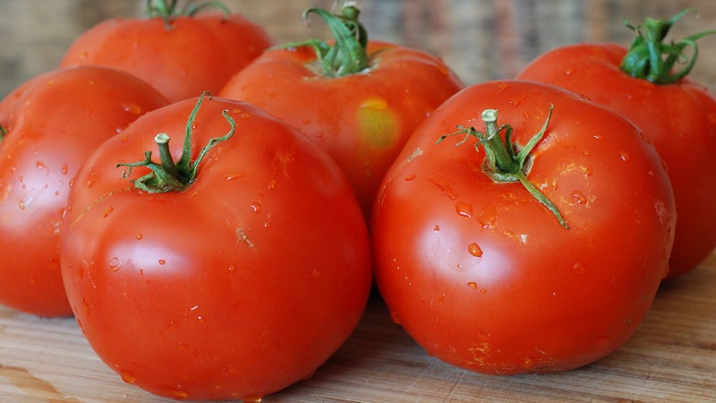 Veteran der heimischen Selektion - früh reifende sibirische Tomate, erprobt und von Gärtnern geliebt