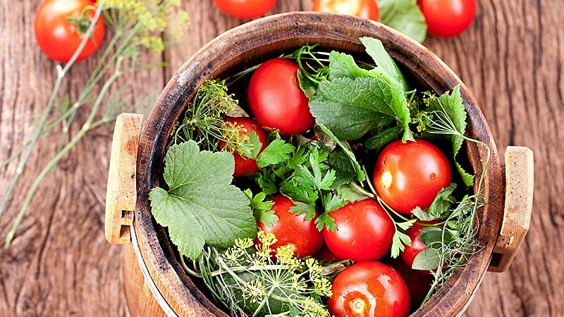 Top 10 der besten Rezepte zum Einlegen von Tomaten in ein Fass, Merkmale der Behältervorbereitung und Lagerung von vorgefertigten Gurken