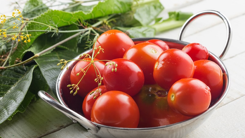 Top 10 der besten Rezepte zum Einlegen von Tomaten in ein Fass, Merkmale der Behältervorbereitung und Lagerung von vorgefertigten Gurken