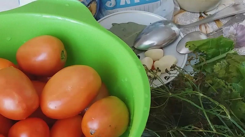 Wir machen köstliche Zubereitungen mit unseren eigenen Händen - gesalzene braune Tomaten: die besten Rezepte und Tipps zum Kochen