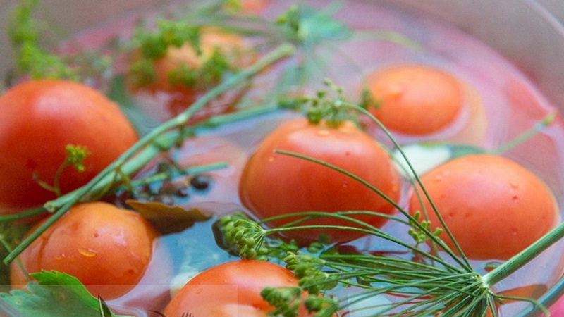 Wir machen köstliche Zubereitungen mit unseren eigenen Händen - gesalzene braune Tomaten: die besten Rezepte und Tipps zum Kochen