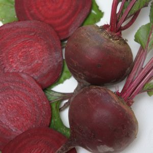 Bordeaux Rote Beete: ideale Farbe und Geschmack zum Kochen und zur Langzeitlagerung