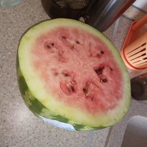 Was bedeuten die weißen Streifen in der Wassermelone und welche anderen Zeichen sollten Sie alarmieren?