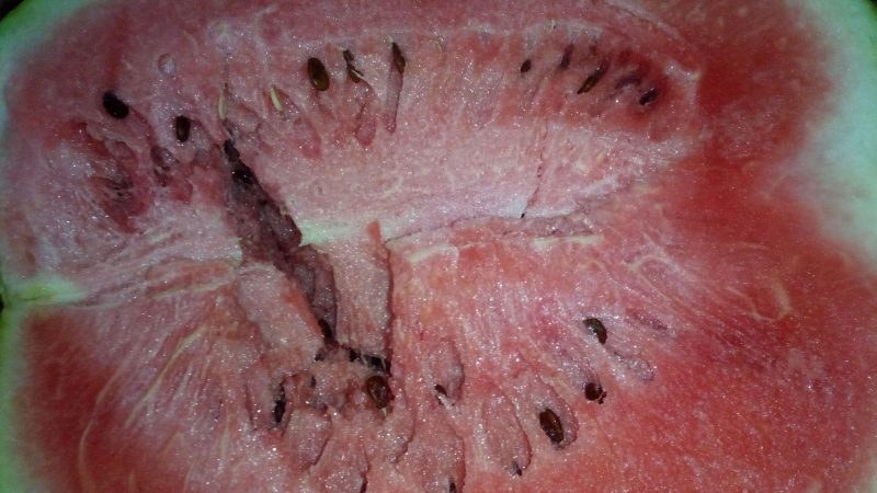 Was bedeuten die weißen Streifen in der Wassermelone und welche anderen Zeichen sollten Sie alarmieren?