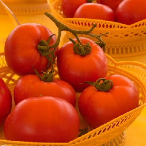 Ein Favorit der Sommerbewohner mit hohen Erträgen und einem ausgezeichneten Ruf - bürgerliche Tomate für Freiland und Gewächshäuser