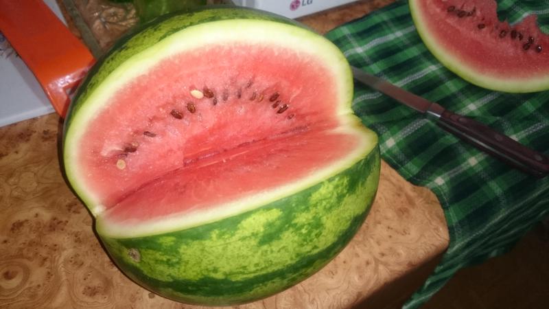 Wie kann man zu Hause eine Wassermelone auf Nitrate testen?