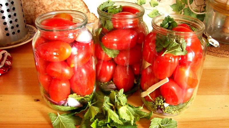 Wie man köstliche eingelegte Tomaten für den Winter kocht: eine Auswahl der besten Rezepte von erfahrenen Hausfrauen