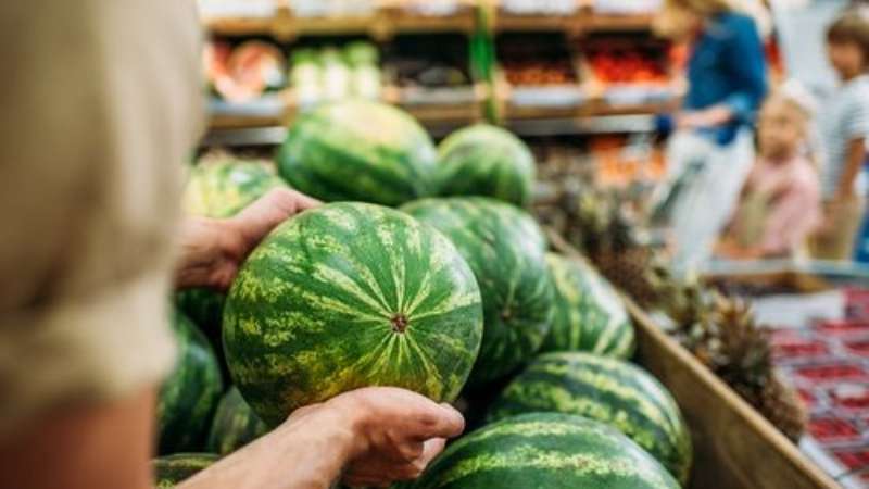 Wie man eine reife und süße Wassermelone wählt: worauf man beim Kauf und bei der Auswahl einer Frucht im Garten achten muss