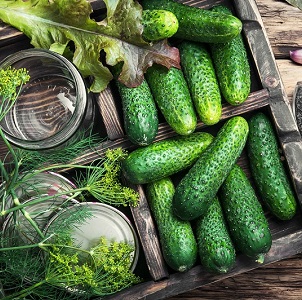 Die Zubereitung knuspriger Gurken für den Winter in Gläsern ist einfach und lecker