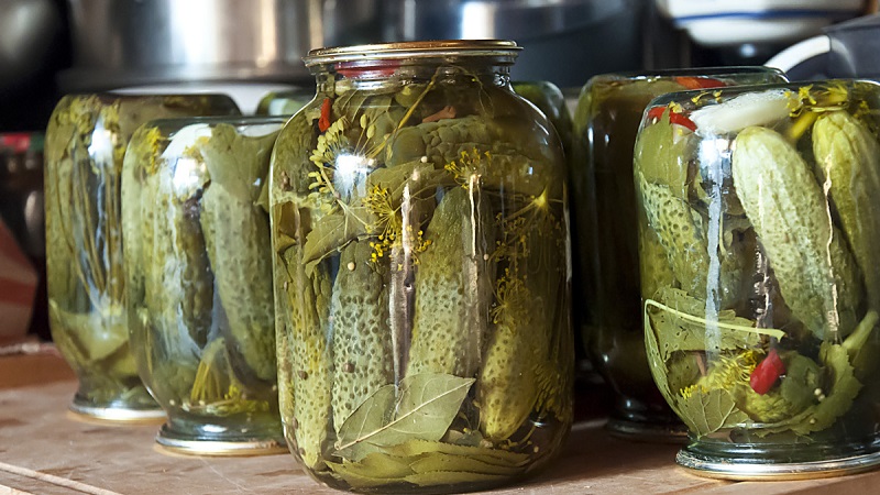 Die Zubereitung knuspriger Gurken für den Winter in Gläsern ist einfach und lecker