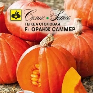 Why Farmers Love Orange Summer Pumpkin So Much: A Hybrid, Easy Care And Indispensable In Cooking