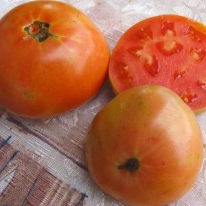 Woran können Sie sich bei Masterpiece-Tomaten erinnern und wie können Sie eine anständige Ernte erzielen?