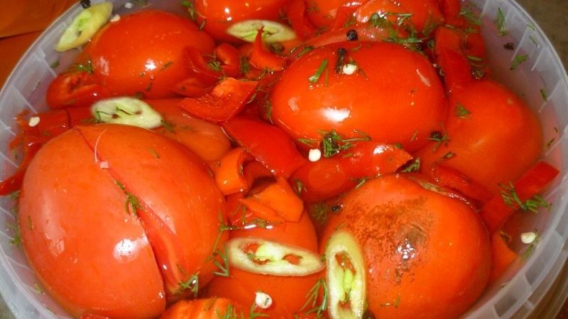 Die leckersten und einfachsten Rezepte zum Einlegen von Tomaten in einen Eimer: Wir bereiten uns hervorragend auf den Winter vor