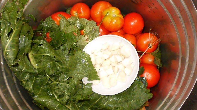 Die leckersten und einfachsten Rezepte zum Einlegen von Tomaten in einen Eimer: Wir bereiten uns hervorragend auf den Winter vor