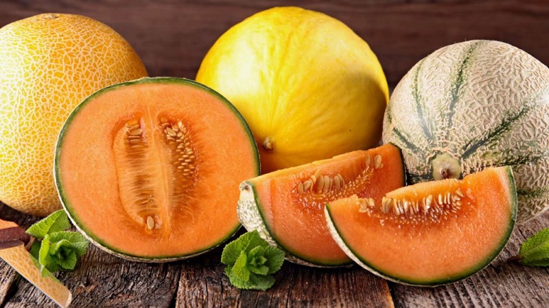 Wie viel Melone können Sie pro Tag essen: Verbrauchsraten, vorteilhafte Eigenschaften und Kaloriengehalt