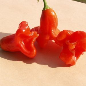 Kombinieren Sie gegensätzliche Geschmäcker und eine blütenartige, erstaunliche Vielfalt an Paprika