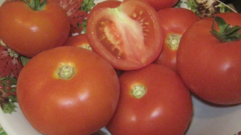 Rechtfertigt die Tomate Lakomka ihren Namen und was sagen Gemüsebauern über die Sorte?