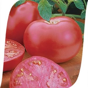 Pink Lady F1 Sweet Hybrid Pink Tomate: Warum es gut ist und warum es sich lohnt, es anzubauen